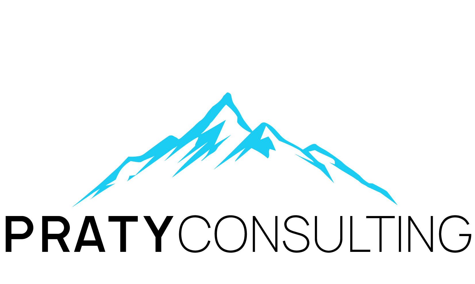 PRATY Consulting Europe GmbH
